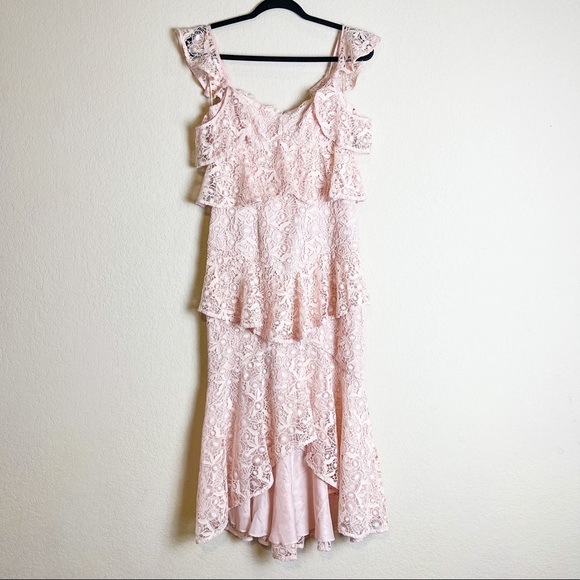 Amur Hayden Lace Midi Dress Blush Pink Size 2 NWT - Picture 3 of 11